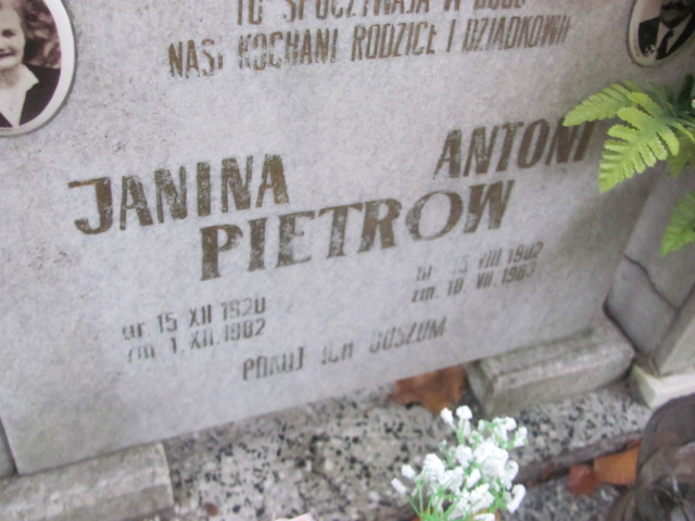 Janina Pietrow 1920 Słubice - Grobonet - Wyszukiwarka osób pochowanych