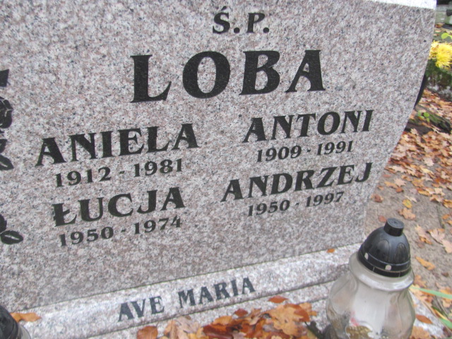 Antoni Loba 1909 Słubice - Grobonet - Wyszukiwarka osób pochowanych