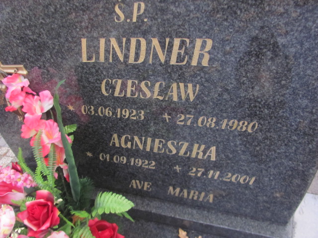 Piotr Lindner 1955 Słubice - Grobonet - Wyszukiwarka osób pochowanych