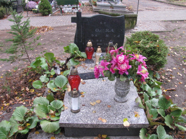 Grób Albin Woźnica