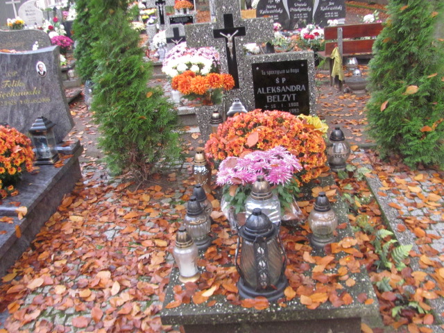 Grób Aleksandra Belzyt