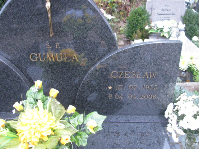  Gumuła 1933 Słubice - Grobonet - Wyszukiwarka osób pochowanych