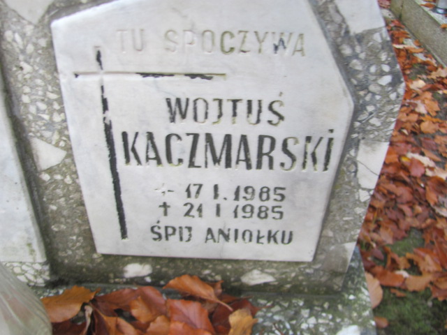 Wojciech Kaczmarski 1985 Słubice - Grobonet - Wyszukiwarka osób pochowanych
