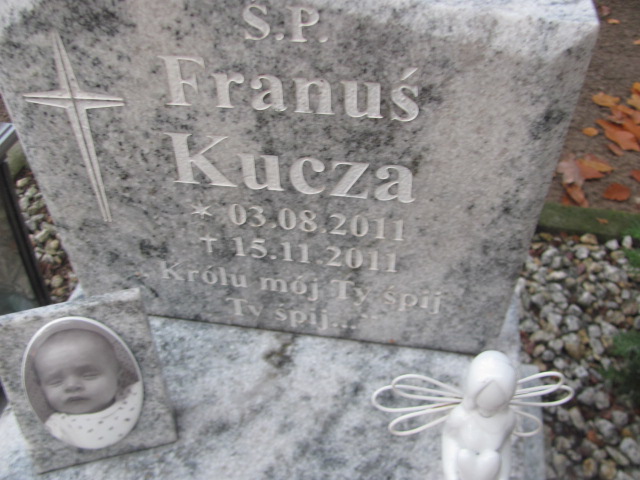 Franciszek Kucza 2011 Słubice - Grobonet - Wyszukiwarka osób pochowanych