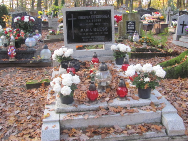 Grób Eugenia Degórska
