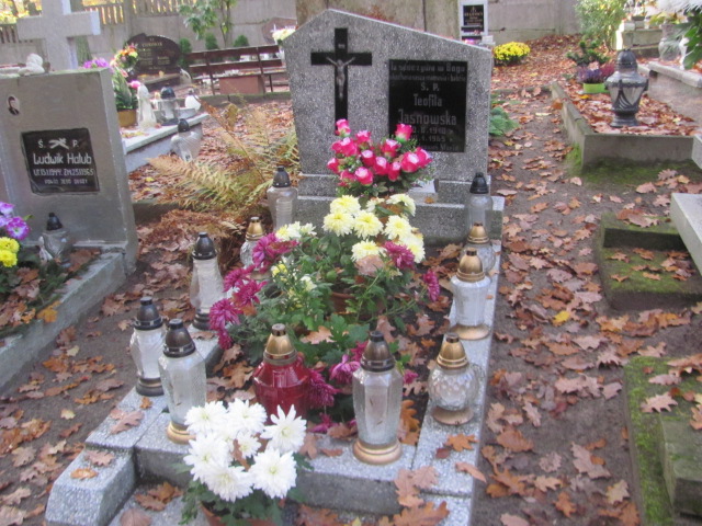 Grób Teofila Jasnowska