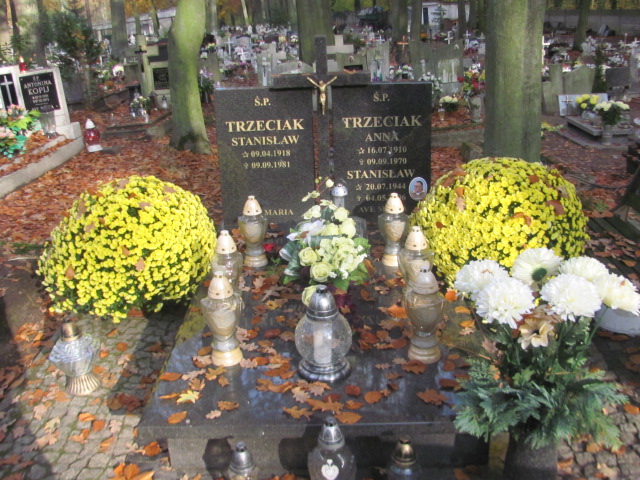 Grób Stanisław Trzeciak