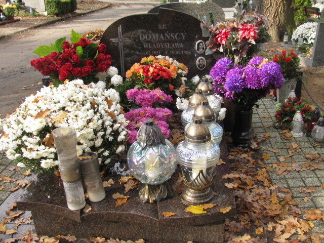 Grób Władysława Domańska